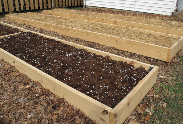 Image for event: Build it: DIY Raised Beds